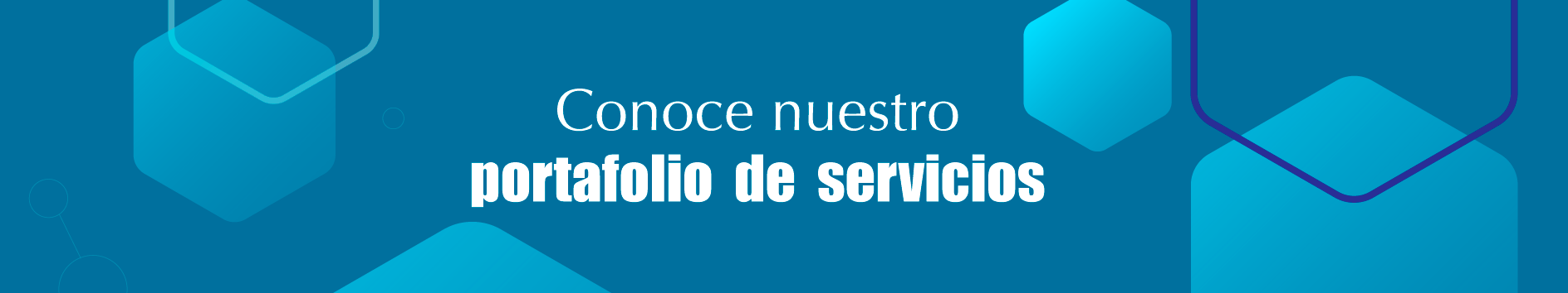 Banner portafolio de servicios POHEMA